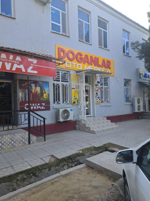 dukan Doganlar studio