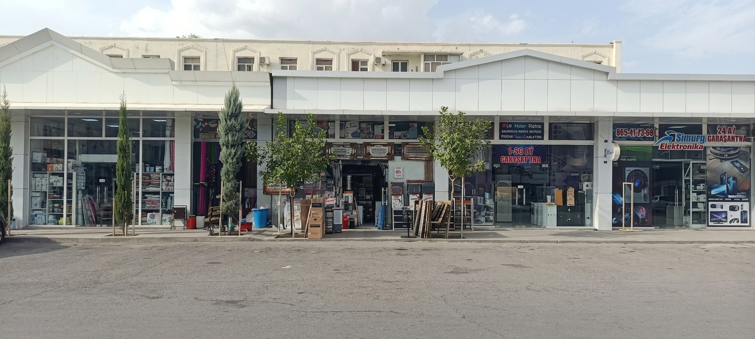 Şir elektronika